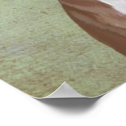 Poster Greyhound en Casquette vert (Coin)