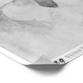 Poster Greyhound et tête d'un greyhound (Coin)