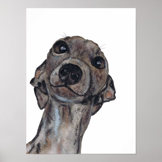 Poster GREYHOUND g909 (Devant)