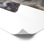 Poster GREYHOUND g918 (Coin)