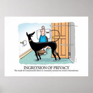 Poster Greyhound Glossaire Ingreysion de la vie privée