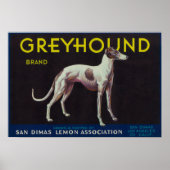 Poster Greyhound Lemon LabelSan Dimas, CA (Devant)