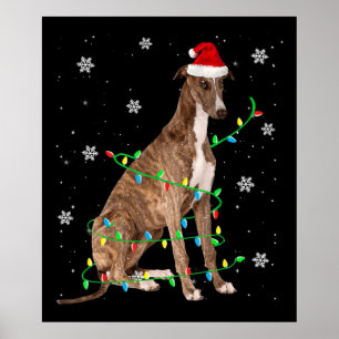 Poster greyhound, petit feu de Noël, père Noël