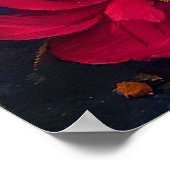 Poster Greyhound sur une pagaie : une aventure panoramiqu (Coin)