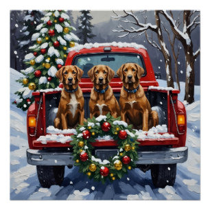 Poster Griffon d'arrêt à poil dur camion rouge de Noël
