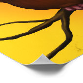 Poster Griffon-vautour (Coin)