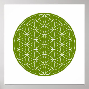 Poster Grille De Cristal - Fleur De Vie