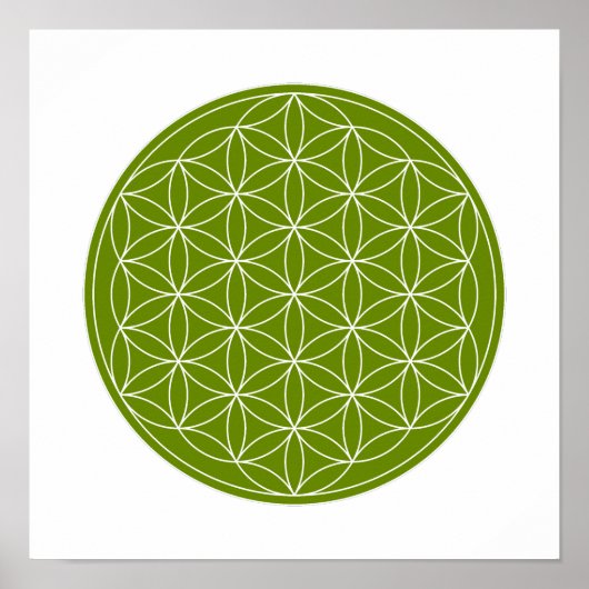Poster Grille De Cristal - Fleur De Vie (Devant)