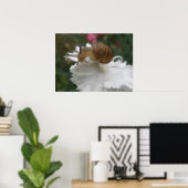 Poster Grille de jardin et carnation blanche (Bureau à domicile)