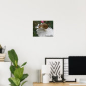 Poster Grille de jardin et carnation blanche (Bureau à domicile)