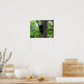Poster Grimper Haut (Cuisine)