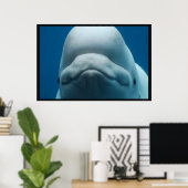 Poster Grinning White Whale (Bureau à domicile)