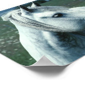 Poster Gris appâté dans un pâturage fleuri (Coin)