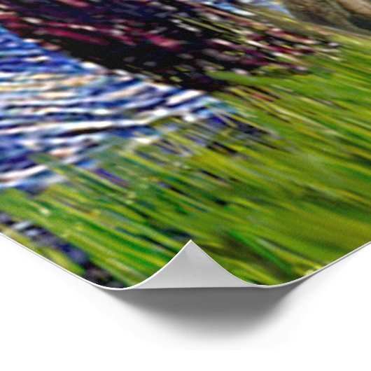 Poster Gris (br2) - Nuit étoilée (Coin)