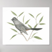 Poster Gris Catbird Beaux-Arts Imprimer (Devant)