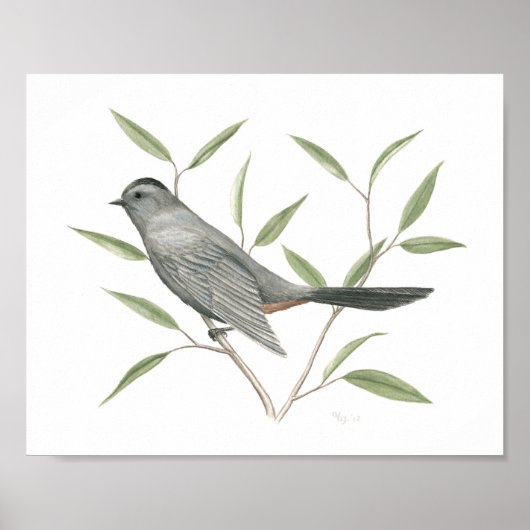 Poster Gris Catbird Beaux-Arts Imprimer (Devant)