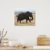 Poster gris éléphant (Cuisine)