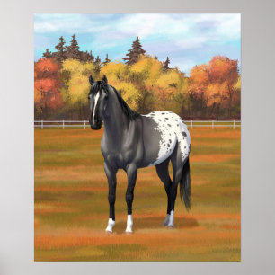 Poster Gris Grulla Appaloosa Quartier Horse Stallion