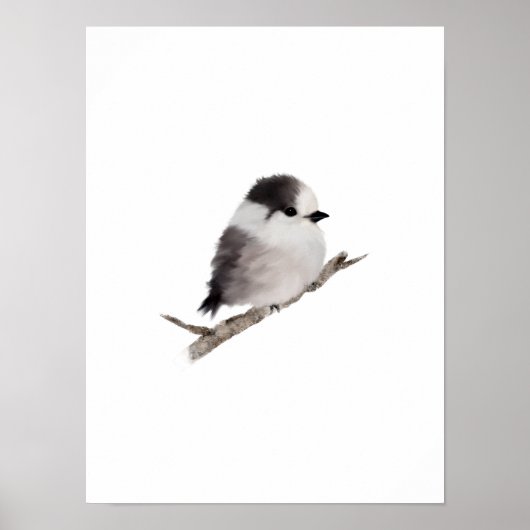 Poster Gris Jay Bird Imprimer (Devant)