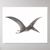 Poster gris Pteradactyl Dinosaur Imprimer (Devant)