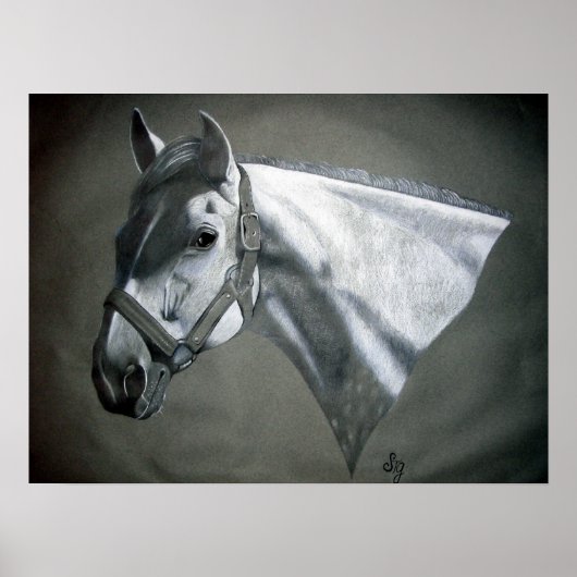 Poster Gris sur Gris (Devant)