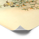 Poster Gris Tête de Moucherolle Oiseau Vintage Imprimer (Coin)