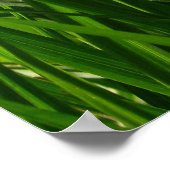 Poster Gris vert vert de la maison imprimer (Coin)