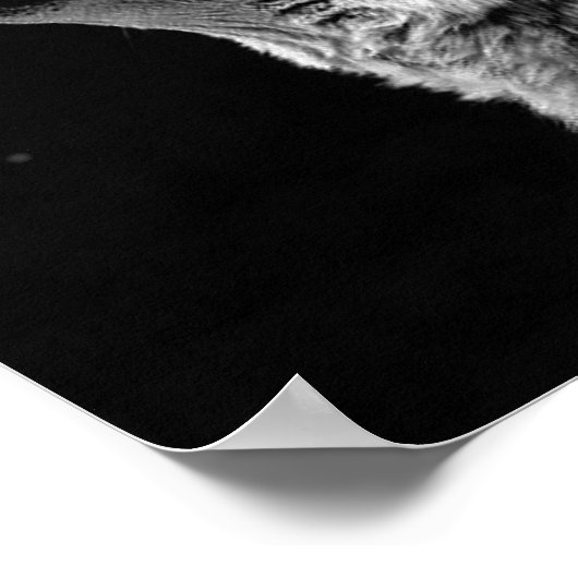 Poster Gris Wolf & Moon Imprimer (Coin)