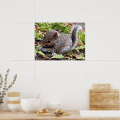 Poster GrisBébé (Cuisine)