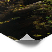 Poster Grist Mill Smoky Mountains (Coin)