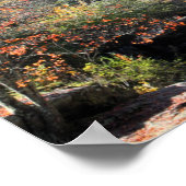 Poster Grist Mills Falls (Coin)