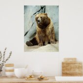 Poster Grizzly Bear (Cuisine)