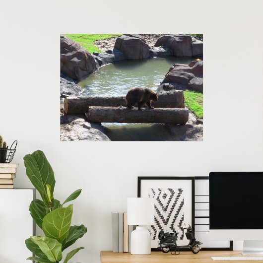 Poster grizzly Bear (Bureau à domicile)