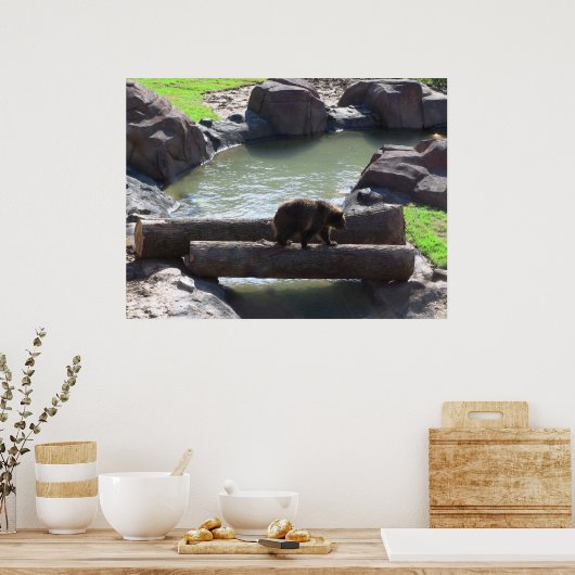 Poster grizzly Bear (Cuisine)