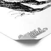 Poster Grizzly Bear (Coin)