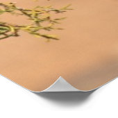 Poster Grizzly Bear Cub (Coin)