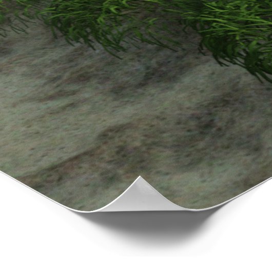 Poster Grizzly Bear Woodland Style Cabine (Coin)