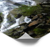 Poster Grizzly Falls, King's Canyon National Park, (Coin)