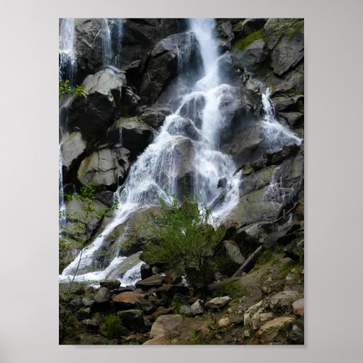 Poster Grizzly Falls, King's Canyon National Park, (Devant)