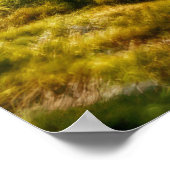 Poster Grizzly Oear Animal Nature Majestic Wild (Coin)