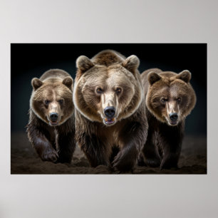 Poster Grizzly Oear Wild Animal Portrait Fierce Power