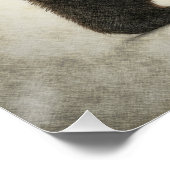 Poster Grizzly Oear Wilderness Art (Coin)