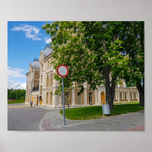 Poster Grodno Bélarus Paysage Urbain Architecture Synagog (Devant)