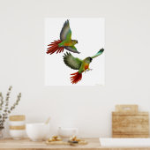 Poster groene wang (Keuken)