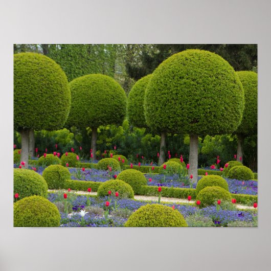 Poster Groene Wereldbollen vormen (Voorkant)