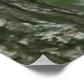 Poster "Grooming Beauty" Scartlet Tanager (Coin)