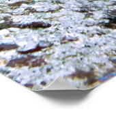 Poster Gros ange (Coin)