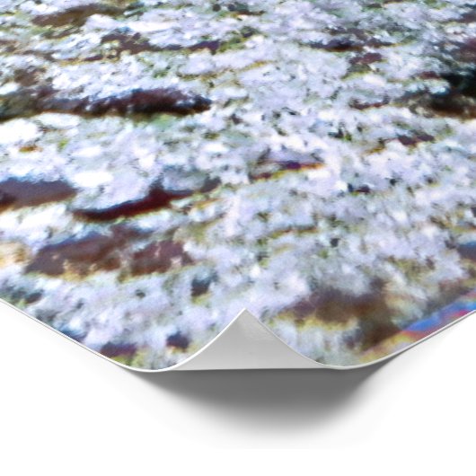 Poster Gros ange (Coin)