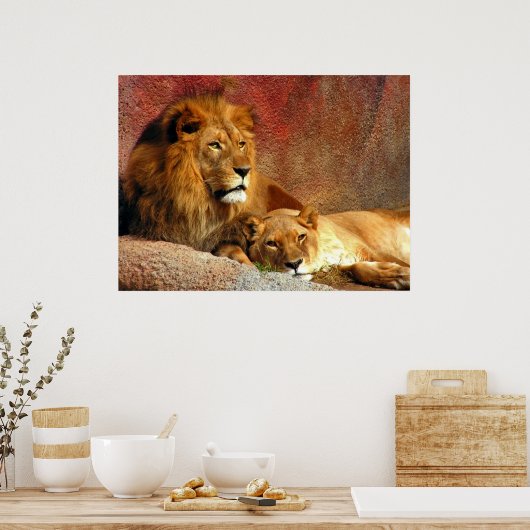 Poster Gros Chats - 6 (Cuisine)