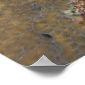 Poster Gros crabe (Coin)